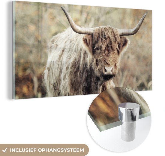 Glasschilderij van een Schotse Hooglander inclusief ophangsysteem in glanzend chroom.