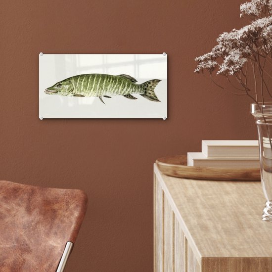 MuchoWow® Peinture sur Verre - Brochet - Peinture de Jean Bernard - 40x20 cm - Peintures sur Verre Acrylique - Photo sur Glas