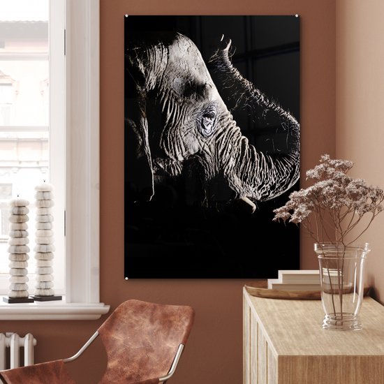 MuchoWow® Peinture sur verre 60x90 cm - Peinture sur verre acrylique - Éléphant - Zwart - Animaux - Nature - Photo sur verre - Peintures