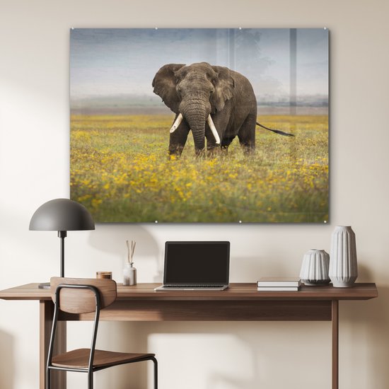 MuchoWow® Peinture sur verre 120x90 cm - Peinture sur verre acrylique - Éléphant - Fleurs - Herbe - Animaux - Nature - Photo sur verre - Peintures