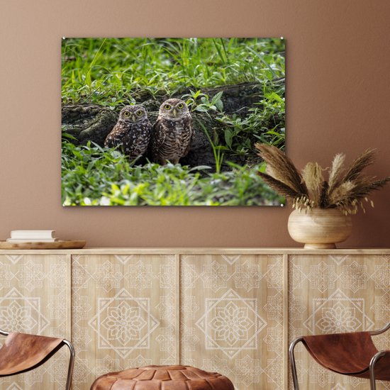 MuchoWow® Peinture sur verre 80x60 cm - Peinture sur verre acrylique - Deux chevêches des terriers devant leur tanière - Photo sur verre - Peintures