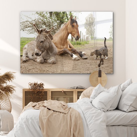 Peinture sur Verre - Âne Chat et Cheval sur Chemin de Terre - 180x120 cm - Peintures sur Verre Peintures - Photo sur Glas