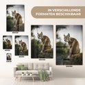 Product afbeelding  8