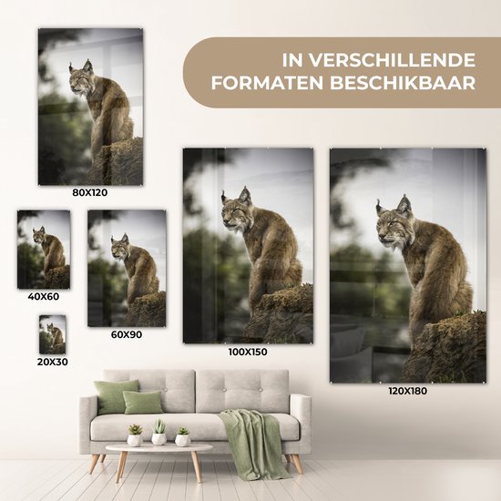 ® Glasschilderij 20x30 cm - Schilderij acrylglas - Lynx zit op een steen - Foto op glas - Muurdecoratie woonkamer - Wanddecoratie slaapkamer - Schilderijen