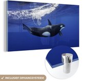 MuchoWow® Glasschilderij 80x40 cm - Schilderij acrylglas - Orka in helder water - Foto op glas - Schilderijen
