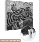 MuchoWow® Glasschilderij 90x90 cm - Schilderij acrylglas - Drie grazende zebra's - Foto op glas - Schilderijen