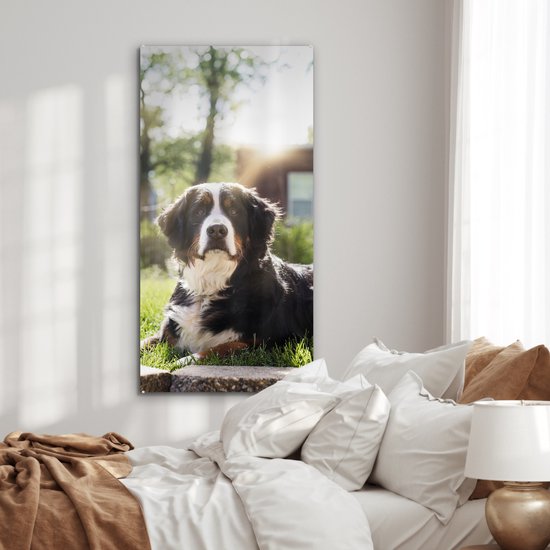 MuchoWow® Peinture sur verre 60x120 cm - Peinture sur verre - Rayons de soleil le long du bouvier Berner - Photo sur verre acrylique - Peintures