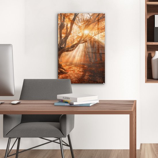 MuchoWow® Peinture sur verre - Arbre - Nature - Automne - 40x60 cm - Peintures sur verre acrylique - Photo sur Glas