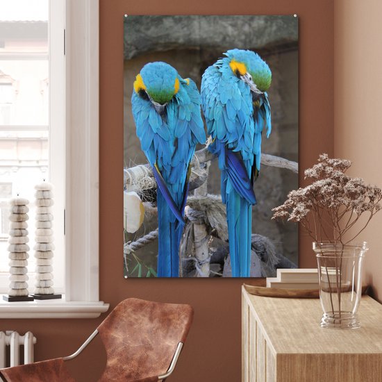 Deux aras en Glas 80x120 cm - Tirage photo sur Glas (décoration murale en plexiglas)