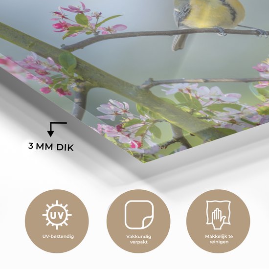 Peinture sur Verre - Vogel - Arbre - Fleur - 60x40 cm - Peintures sur Verre Peintures - Photo sur Glas