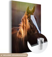 Portrait de cheval épreuve sur Glas 120x180 cm - Tirage photo sur Glas (décoration murale plexiglas) XXL / Groot format!
