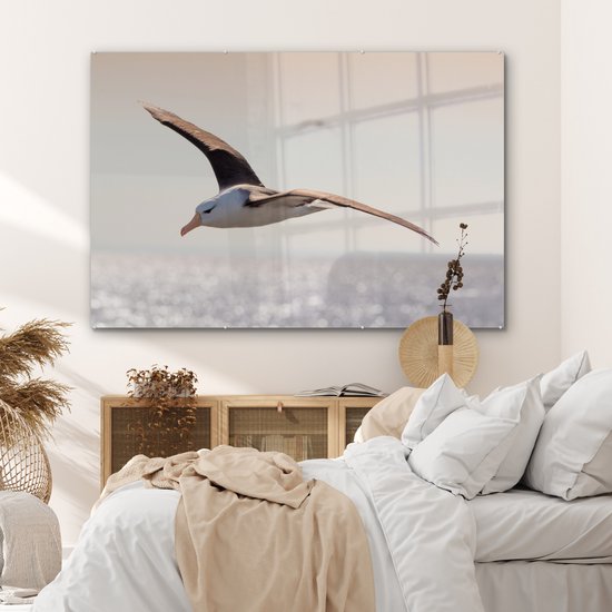 MuchoWow® Peinture sur verre 150x100 cm - Peinture sur verre acrylique - Albatros - Zwart - Vogel - Photo sur verre - Peintures