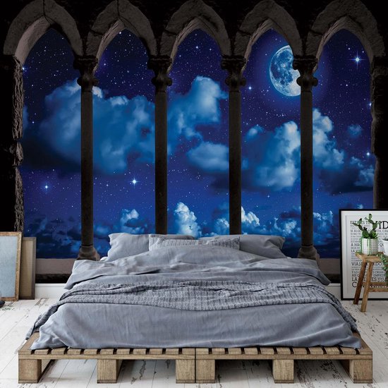 Papier peint Le ciel nocturne | XXL - 312 cm x 219 cm | Polaire 130g / m2