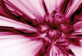 Fotobehang Abstract Art Pink | XL - 208cm x 146cm | 130g/m2 Vlies