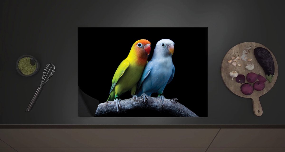 Inductieplaat Beschermer - Oranje-Gele Vogel met Blauwe Vogel op Tak tegen Zwarte Achtergrond - 70x52 cm - 2 mm Dik - Inductie Beschermer met zwarte kern