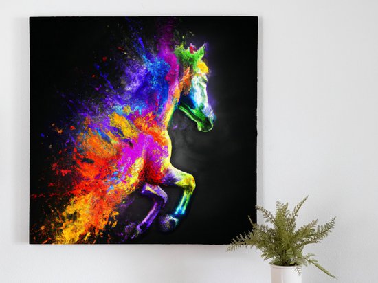 Equine Chromatics kunst - 80x80 centimeter op Canvas | Foto op Canvas - wanddecoratie