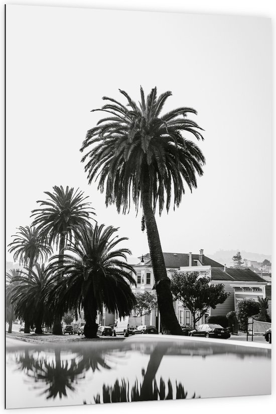WallClassics - Dibond - Palmbomen in Amerikaanse Buurt (Zwart- wit) - 100x150 cm Foto op Aluminium (Wanddecoratie van metaal)