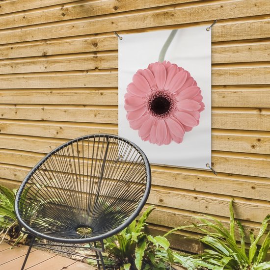 Tableau de jardin Bloem - Rose - Nature - Plante - 60x80 cm - Affiche de jardin - Toile de jardin - Affiche d'extérieur