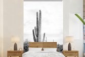 Cactus - Zwart wit - Natuur - Planten - Behangpapier