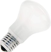 SPL | Halogeen Superluxlamp | Grote fitting E27 | 40W 50mm Opaal