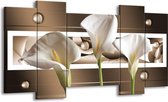 GroepArt - Schilderij - Bloem - Bruin, Wit, Groen - 120x65 5Luik - Foto Op Canvas - GroepArt 6000+ Schilderijen 0p Canvas Art Collectie - Wanddecoratie