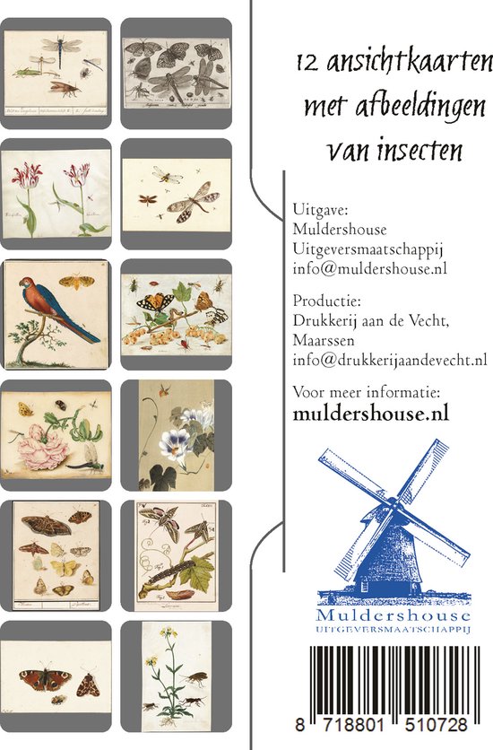 Houten Kaartdisplaystandaard Doe-het-zelf Kaarthouder Bureau Visitekaartjes Ansichtkaarten En Stickers Ideaal Voor Detailhandel En Ambachtelijke Shows Duurzaam En Stijlvol Organiseren