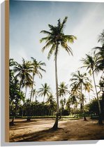 WallClassics - Hout - Park met Hoge Palmbomen - 40x60 cm - 9 mm dik - Foto op Hout (Met Ophangsysteem)