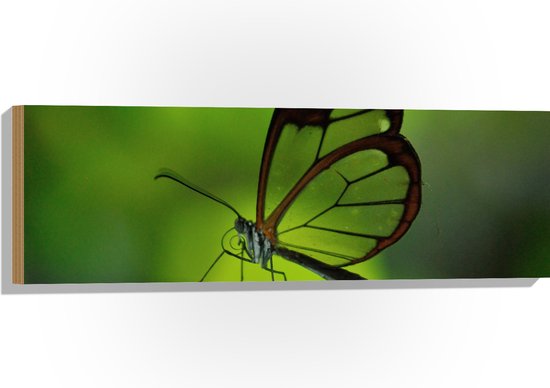 Plexiglas Met Houten Standaard