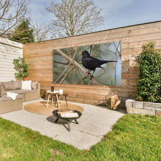 Affiche de clôture Vogel - Merle - Branches - Animaux - 200x100 cm - Toile de jardin