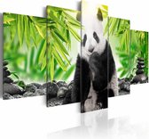 Schilderij - Kleine Panda, Groen/Zwart/Wit, wanddecoratie, 5luik , print op canvas