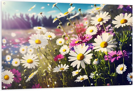 Tuinposter – Bloemenveld Vol Paarse en Witte Madeliefjes - 150x100 cm Foto op Tuinposter (wanddecoratie voor buiten en binnen)