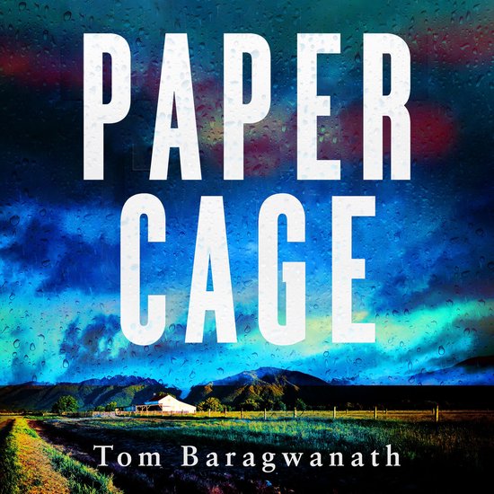 The Lorraine Henry Thrillers1- Paper Cage - cover