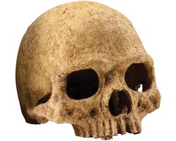 Exo Terra Primate Skull Schuilplaats - Terrarium Decoratie - 11 x 21 x 14 cm