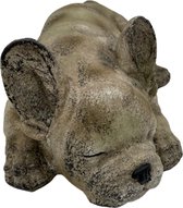 Bulldog Beeld Kopen voor Tuin en Terras