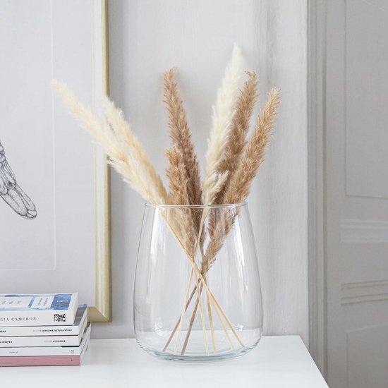Grote glazen vaas woonkamer accessoires, vloer hoge vaas voor pampasgras bloemen hoge stengels, grote heldere vaas transparant, extra grote hoge vazen vloer staand, Demijohn bloemenvaas, 15/39cm hoog