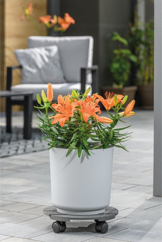 Steege Plantenpot|bloempot - keramiek - rood - 28 x 25 cm kopen? Shop