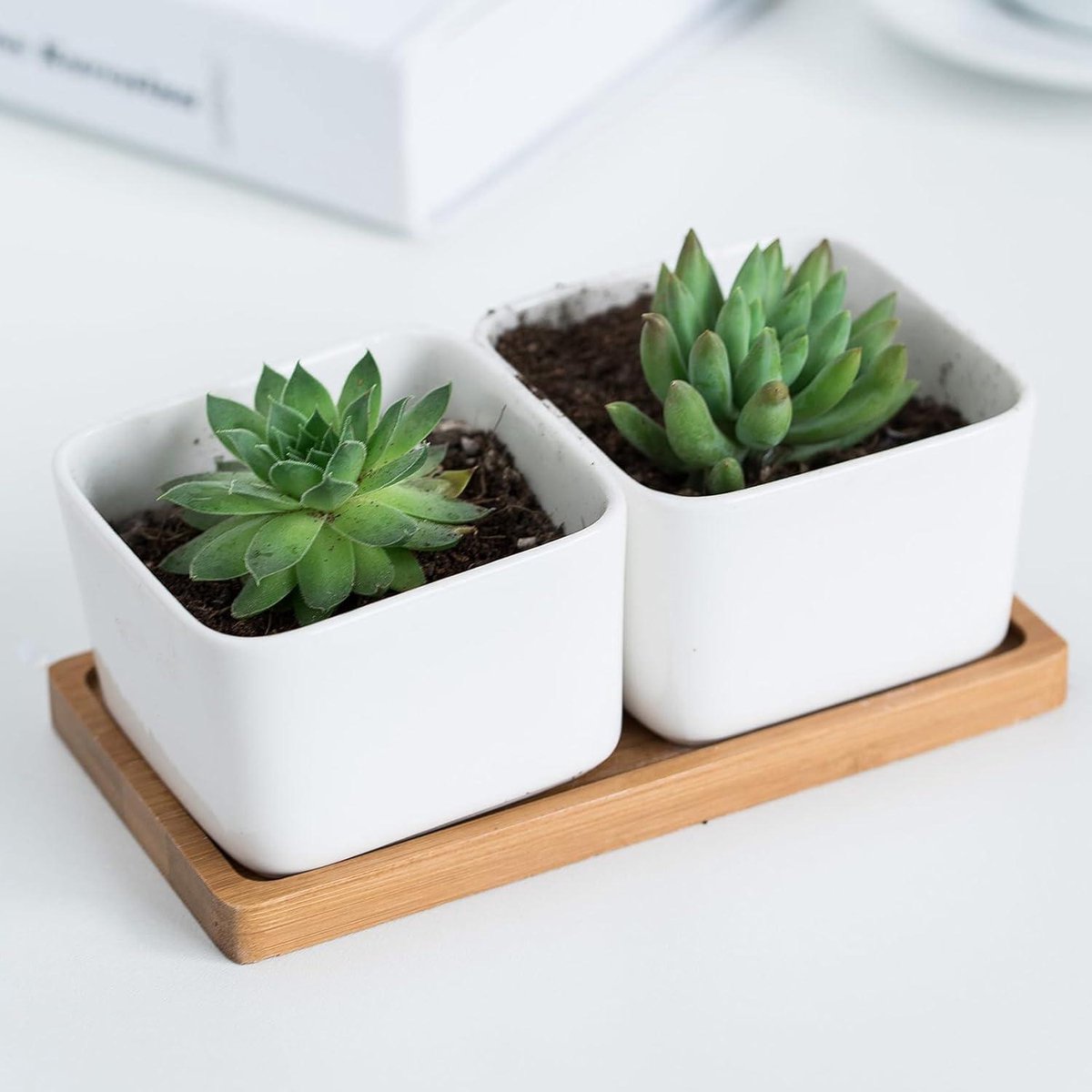Bamboe Dienblad Rechthoekig Decoratie 8 Stuks Voor Woonkamer Keuken Klein Cactussen Vetplanten Slaapkamer Kantoor Eetkamer 175 x 88 x 09 cm
