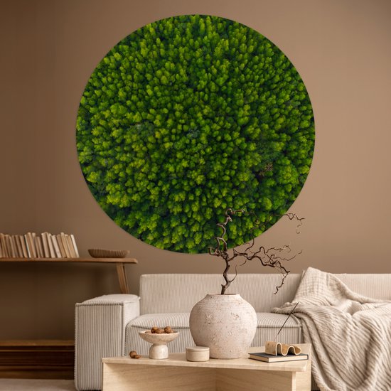 WallCircle® - Papier peint cercle 120x120 cm - Stickers muraux Forêt - Arbre - Vert - Cercle mural salon - Cercle mural chambre - Décoration de pièce autocollante - Accessoires de Décoration murale XXL