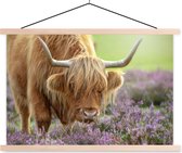 Porte-affiche avec affiche - Affiche scolaire - Highlander écossais - Violet - Fleurs - 90x60 cm - lattes vierges
