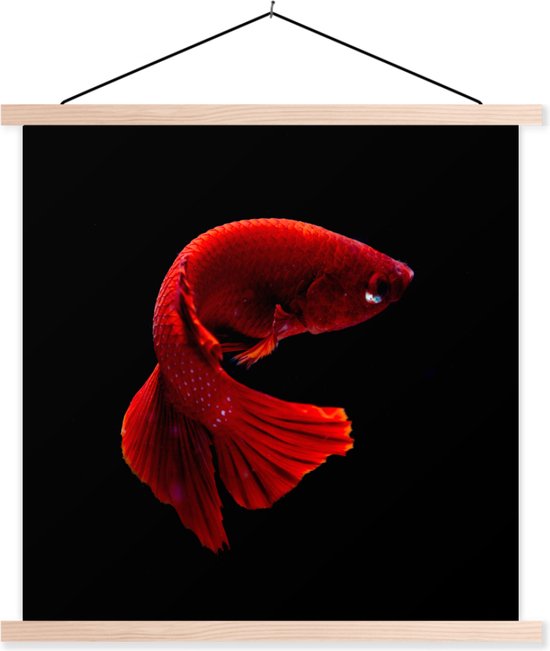Porte-affiche avec affiche 90x90 cm - Affiche scolaire - Poisson - Animal marin - Staart - Rouge - Affiche textile - Lattes vierges