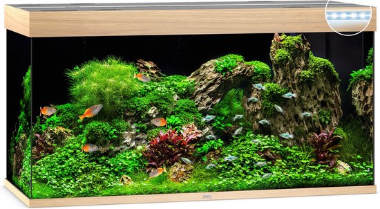 Juwel Aquarium Rio 350 Led 121x51x66 cm - Aquaria - Licht Hout