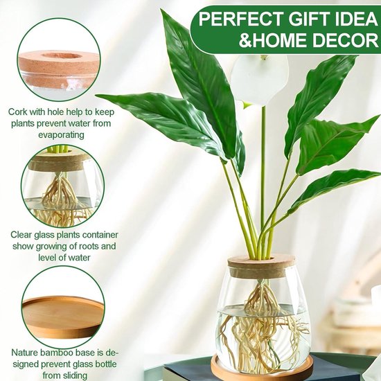 Glasseam Glazen Kweekstation voor Planten: Kleine Bloemenvaas met Houten Frame voor Binnenhuis Keuken Raamdecoratie - 3 Bud Vases Terrarium Planten voor Hydrocultuur Kruiden roos Snijden Glasseam Glazen Kweekstation voor Planten: Kleine Bloemenvaas met Houten Frame voor Binnenhuis Keuken Raamdecoratie - 3 Bud Vases Terrarium Planten voor Hydrocultuur Kruiden roos Snijden