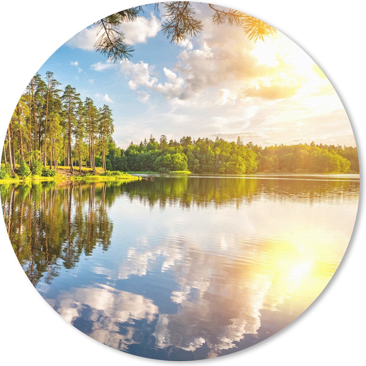 Muismat rond 20x20 cm - Mousepad Bomen - Water - Zon - Ronde muismatten