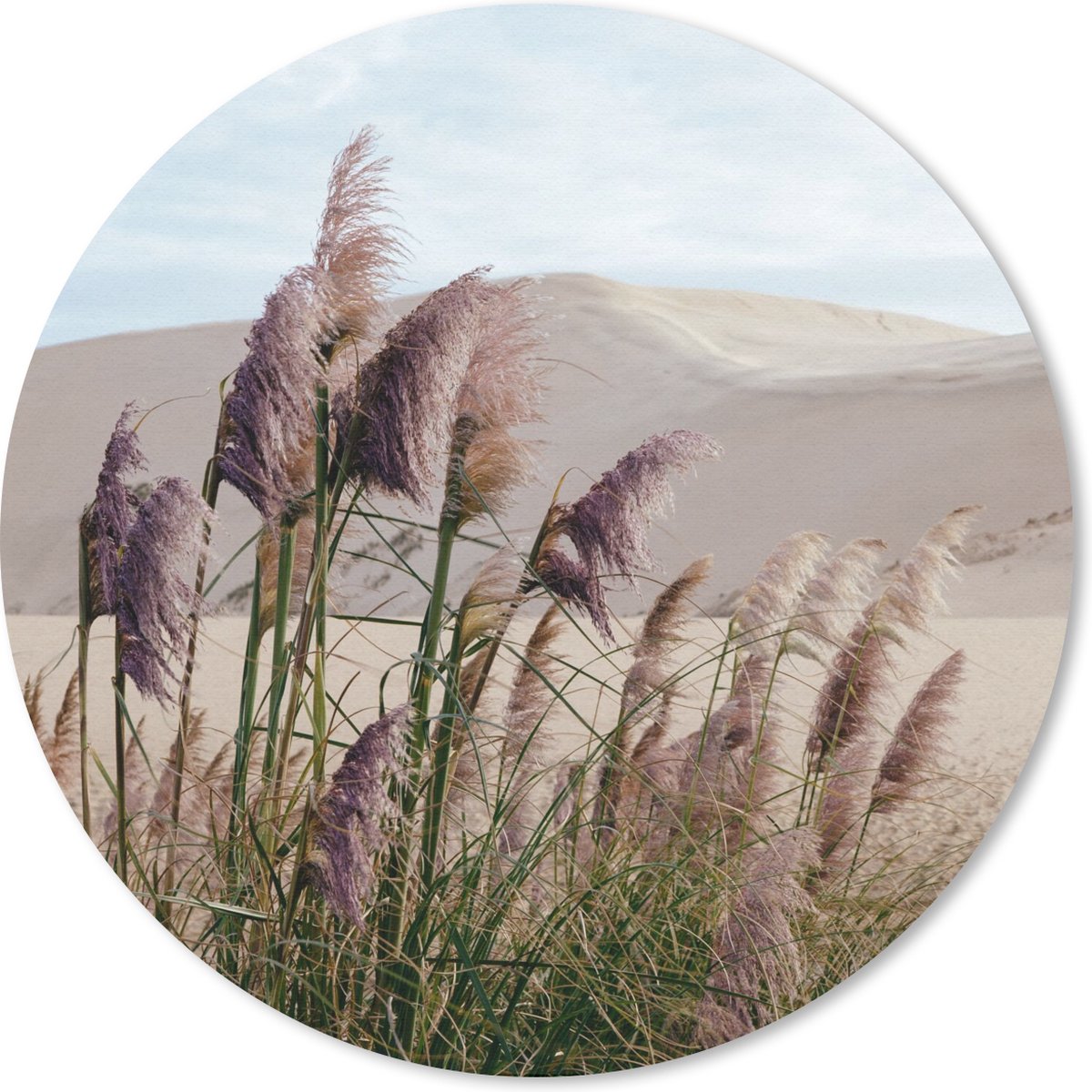 Muismat rond 30x30 cm - Mousepad Pampasgras - Zand - Planten - Duin - Ronde muismatten