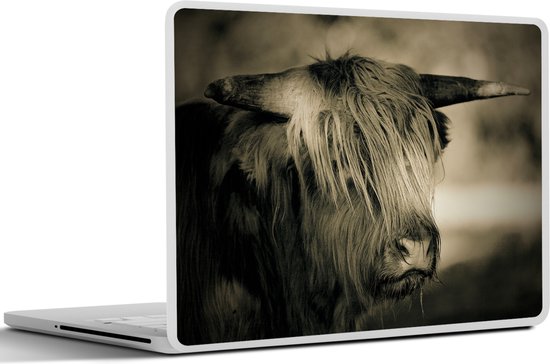 Sticker pour ordinateur portable - 10,1 pouces - Scottish Highlander - Animaux - Cheveux