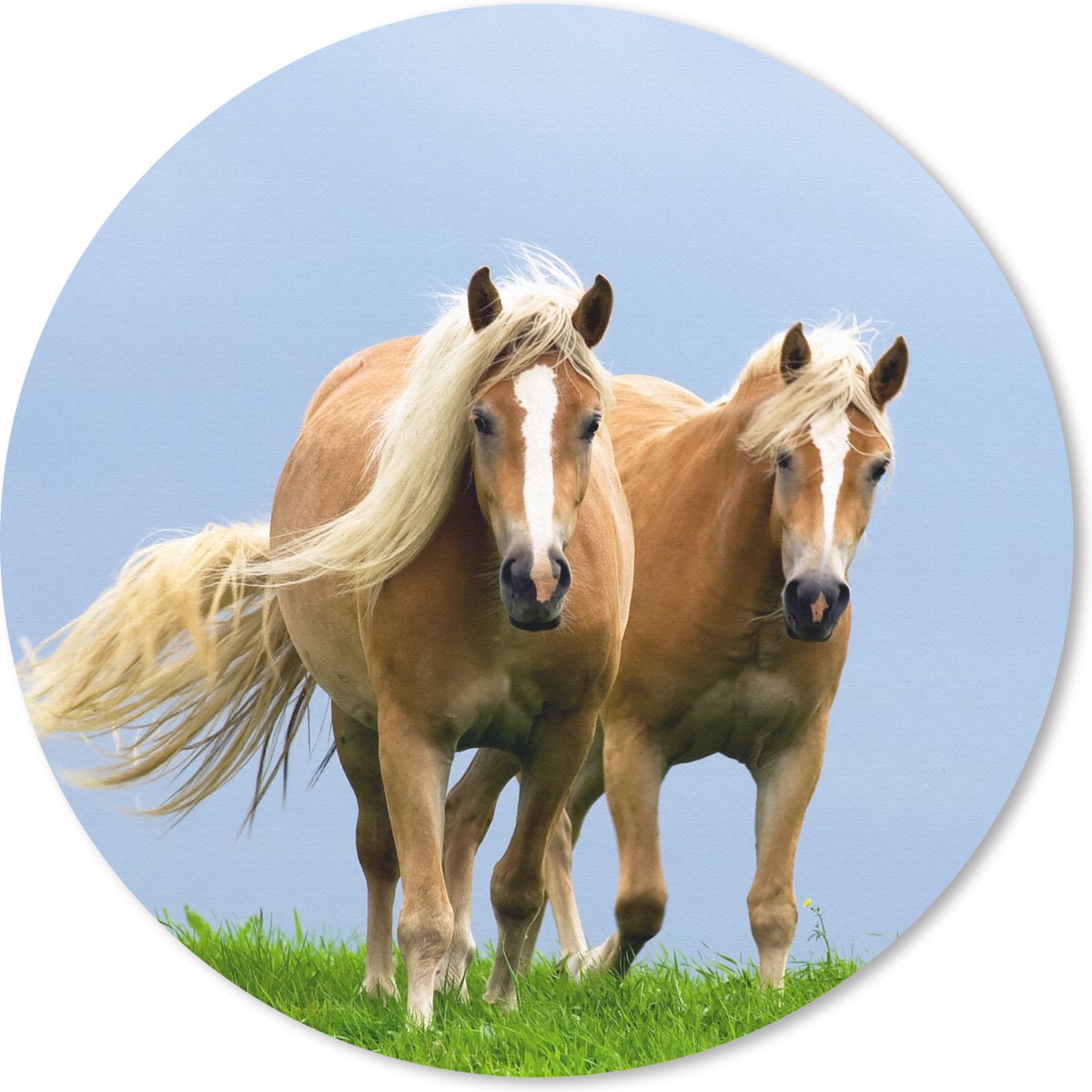 Muismat rond 30x30 cm - Mousepad Paarden - Gras - Lucht - Ronde muismatten