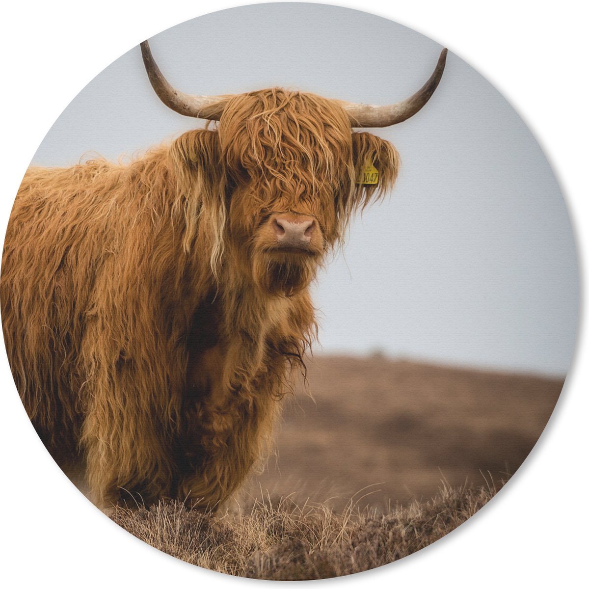 Muismat rond 30x30 cm - Mousepad Schotse Hooglander - Duin - Gras - Ronde muismatten