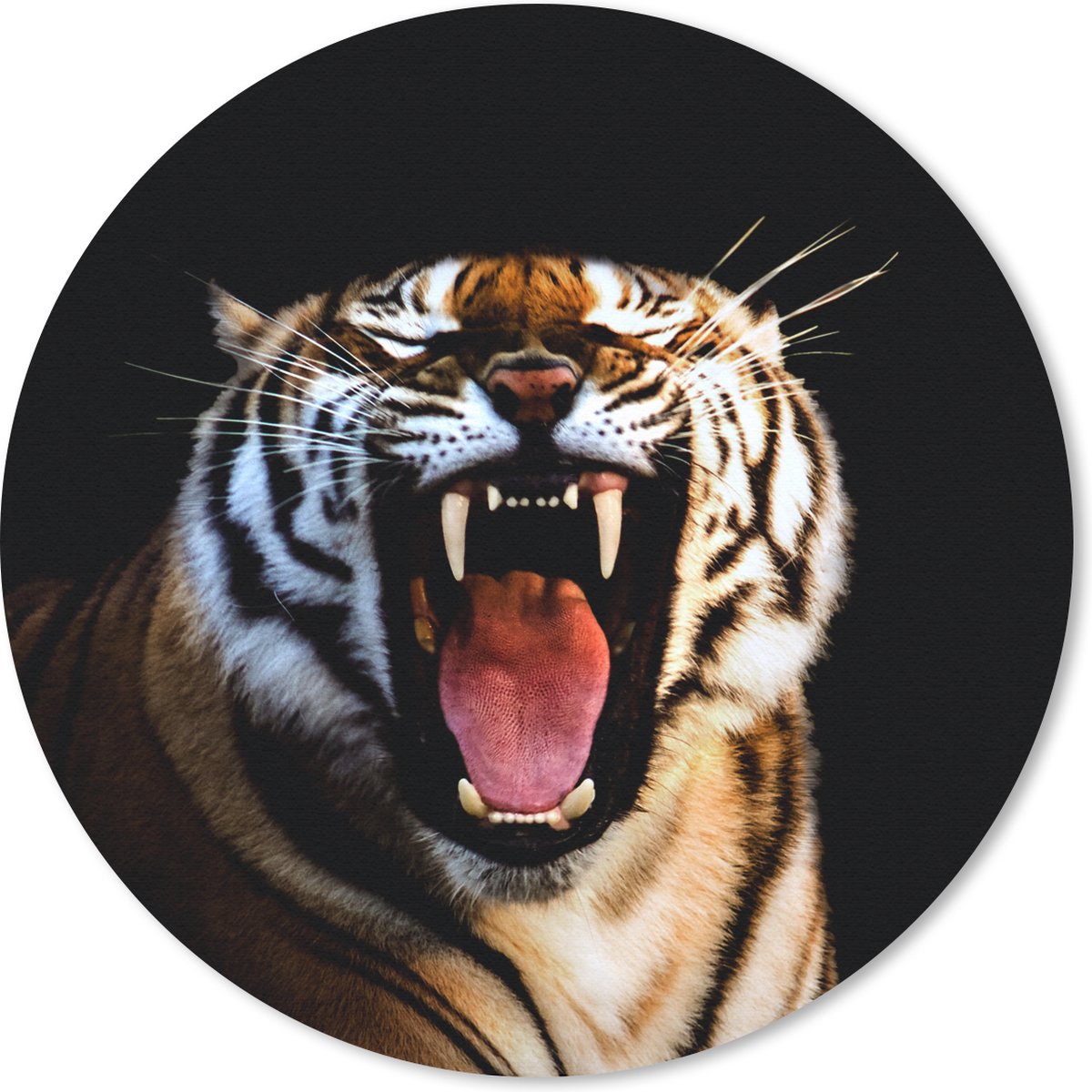 Muismat rond 50x50 cm - Mousepad Tijger - Tanden - Zwart - Ronde muismatten