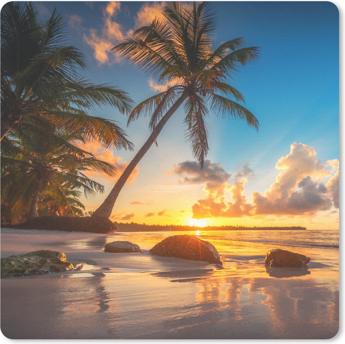 Muismat 20x20 cm - Mousepad Strand - Zee - Palmboom - Zonsondergang - Muismatten