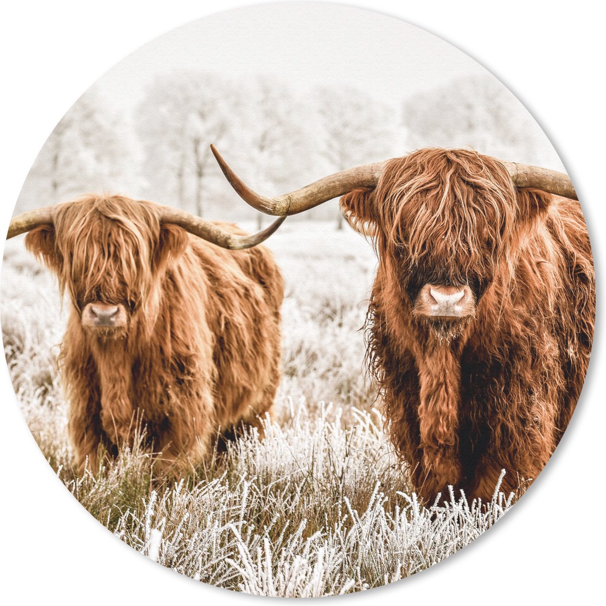 Muismat rond 30x30 cm - Mousepad Schotse hooglander - Koe - Natuur - Winter - Ronde muismatten